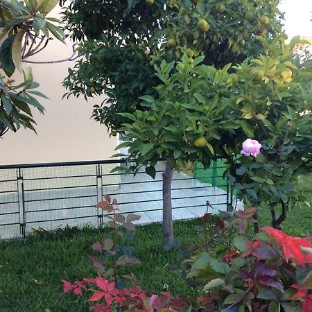 Ourania'S Apartments كامينا فورلا المظهر الخارجي الصورة