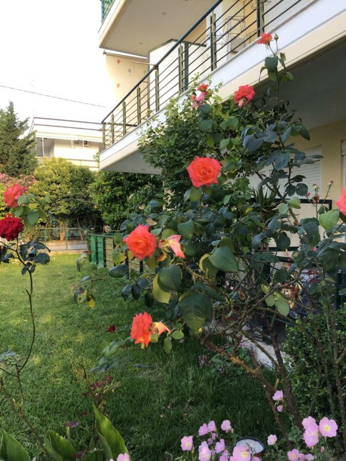 Ourania'S Apartments كامينا فورلا المظهر الخارجي الصورة